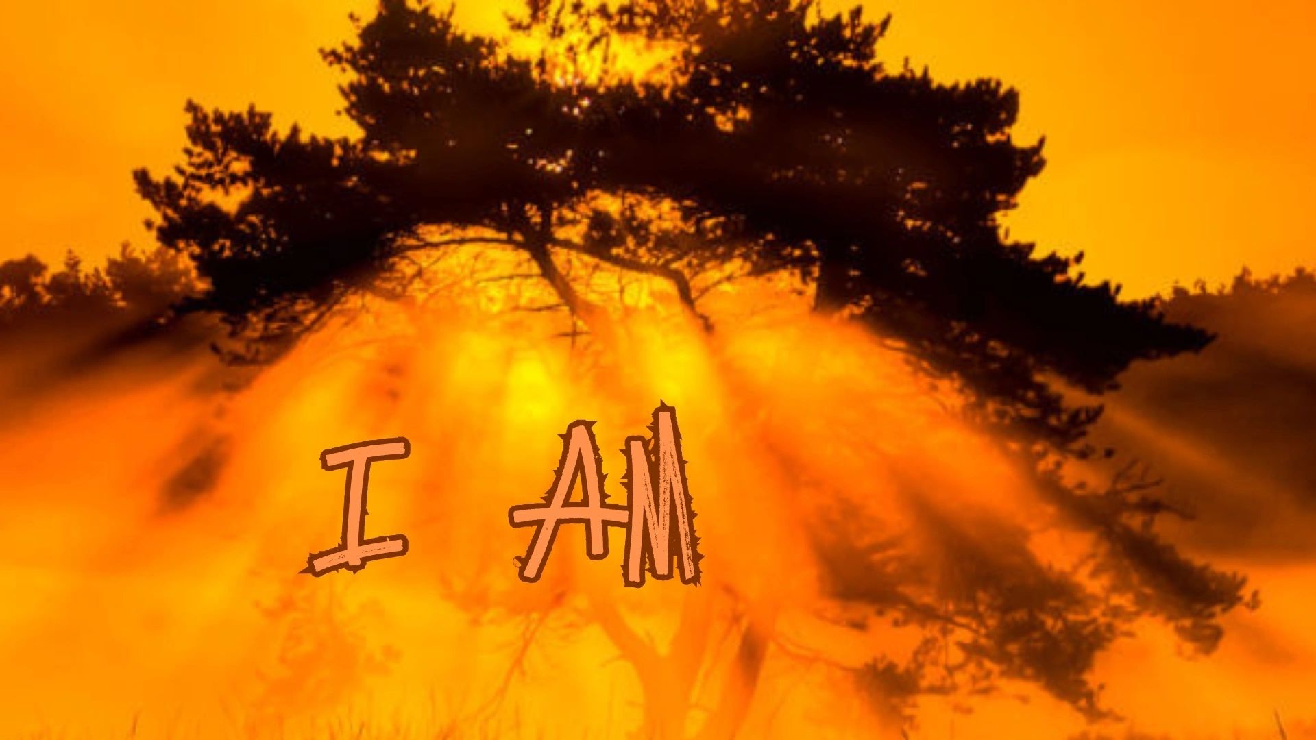 Sunlight beams through trees with 'I AM' text overlay.