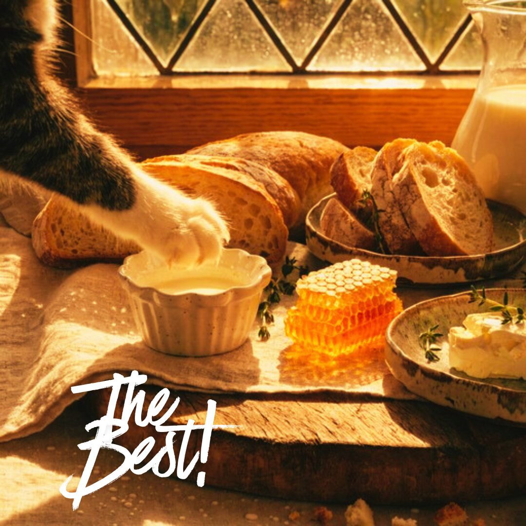 Cat paw in milk beside bread and honey